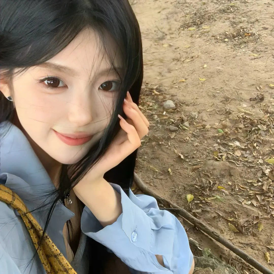 动物总动员