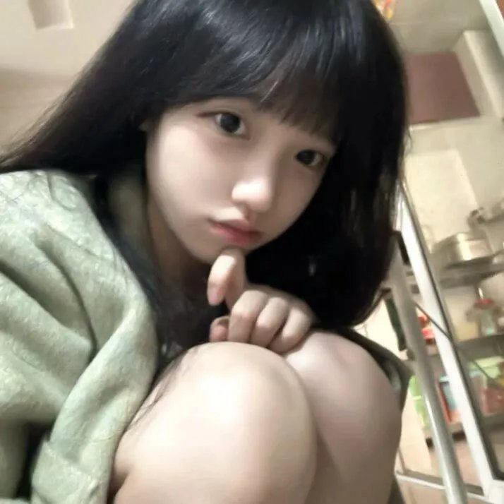 西辛4